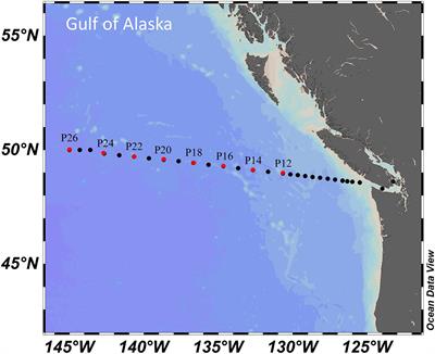 High Temporal Variability of Total Organic Carbon in the Deep Northeastern Pacific